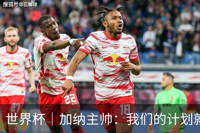 世界杯｜加纳主帅：我们的计划就是让英格兰队受挫