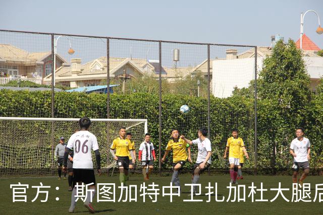 官方：斯图加特中卫扎加杜大腿后侧肌肉受伤，将缺阵数周
