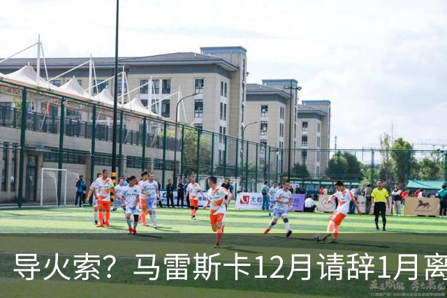 导火索？马雷斯卡12月请辞1月离任，蓝军12月仅2胜且最终赛季崩盘