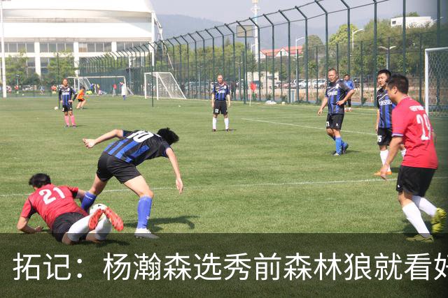 拓记：杨瀚森选秀前森林狼就看好他 新帅诺里那时可能看过其试训