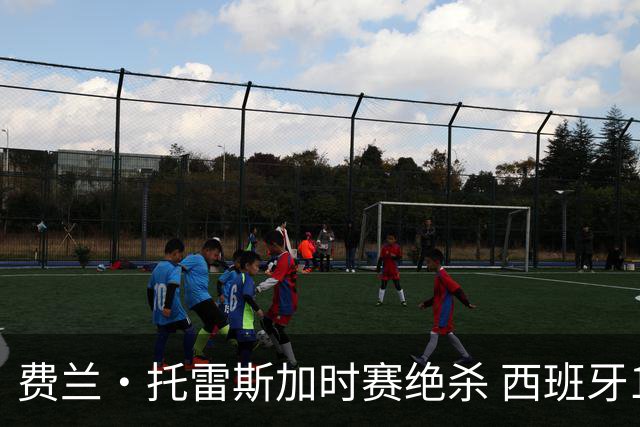 费兰·托雷斯加时赛绝杀 西班牙1-0力克阿根廷再捧大力神杯