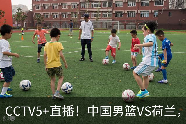CCTV5+直播！中国男篮VS荷兰，杨瀚森确定出战，郭士强重点考察后卫